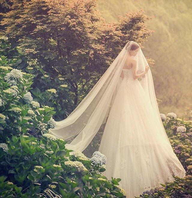 زفاف - Instagram Photo By Praise Wedding • Jul 10, 2016 At 6:31am UTC
