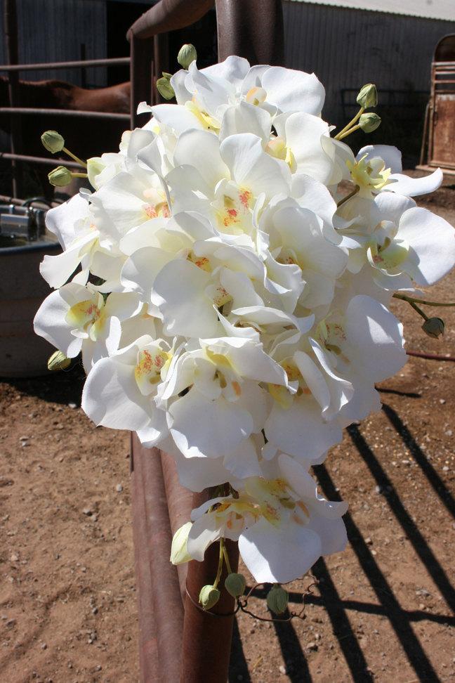 Wedding - White Cascading Orchid Bridal Bouquet