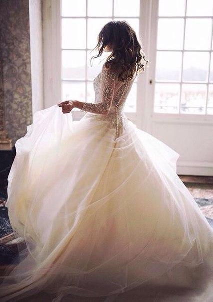 زفاف - Elegant Style