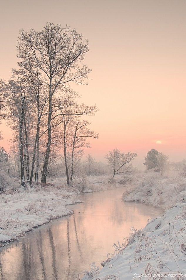زفاف - The Beauty Of Winter