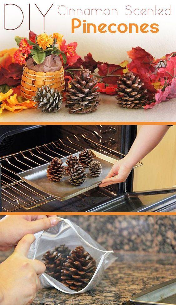 Wedding - How To Make Cinnamon-Scented Pinecones
