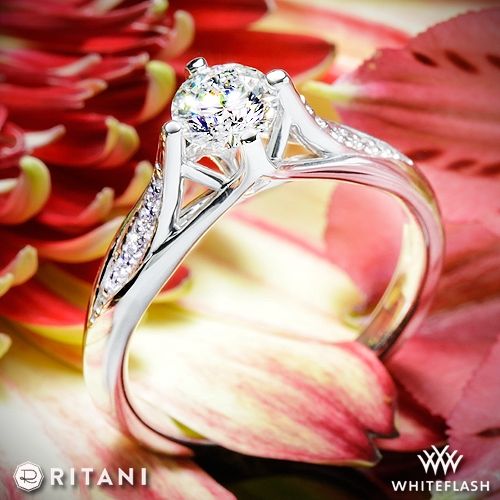Hochzeit - Ritani Modern Arched Micro Pave Diamond Engagement Ring 