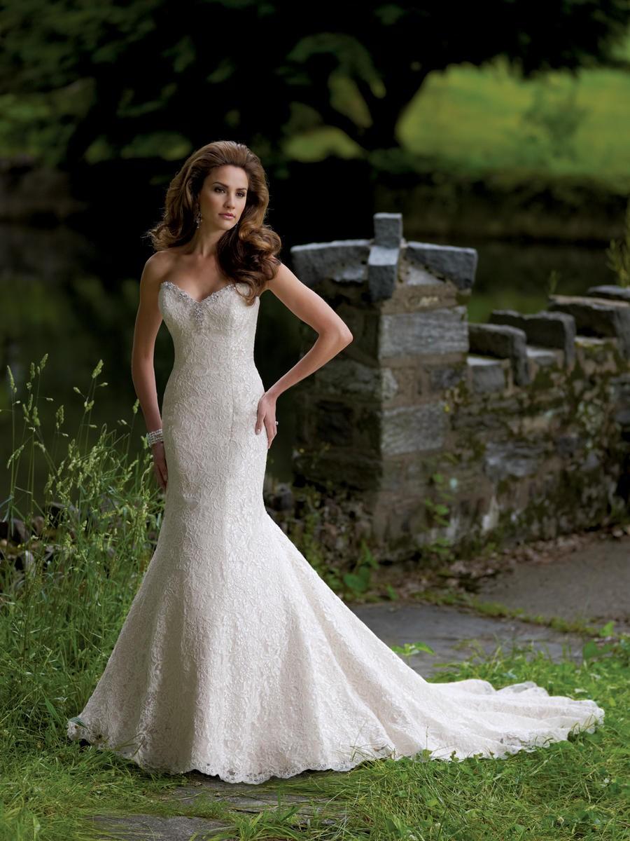 Hochzeit - David Tutera David Tutera Bridals 113200-Bebe - Fantastic Bridesmaid Dresses