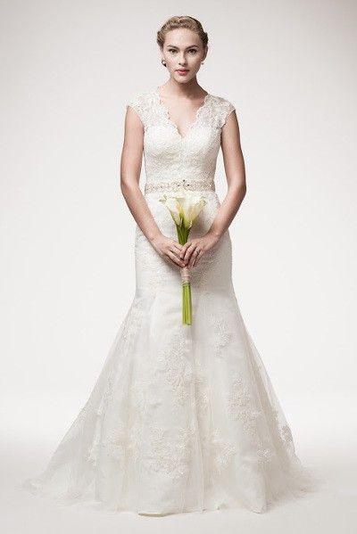 زفاف - Mermaid V Cut Lace Wedding Dress 106-wjw140601