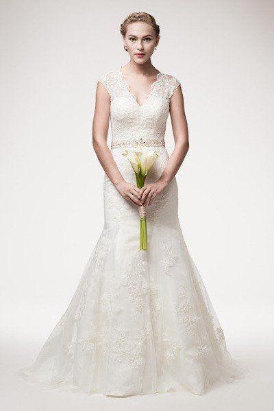 Mariage - Mermaid V Cut Lace Wedding Dress 106-wjw140601