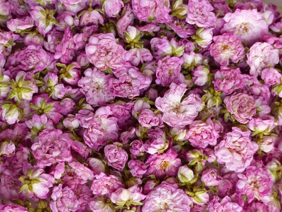 زفاف - All Natural Dried Real Whole Pink Mini Roses - Edible and Chemical Free, Great Cake Decorations!
