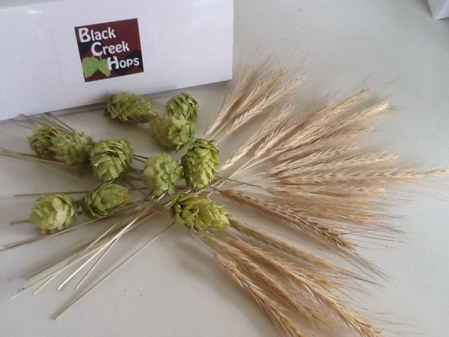 Hochzeit - DIY Boutonniere Hops Kit -10 Hops + 20 Rye Stalks , 10 Decoration Hops with Rye -  Beer Flowers - Brewery Wedding Flowerst