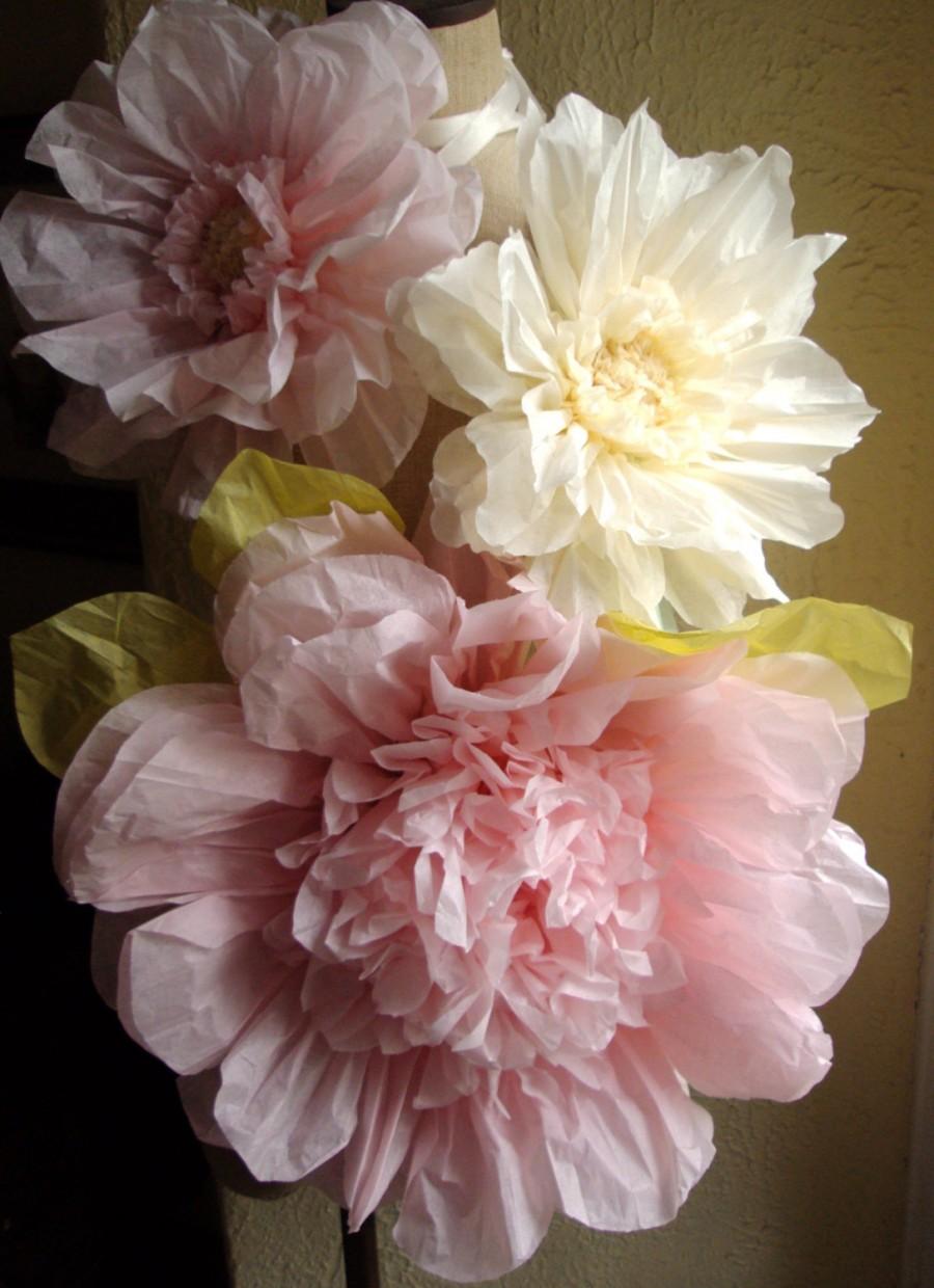 زفاف - Set of 3 Giant Paper Flowers (L Pink / Vanilla)- Perfect Decorations for Wedding,Birthday Party&Baby Shower