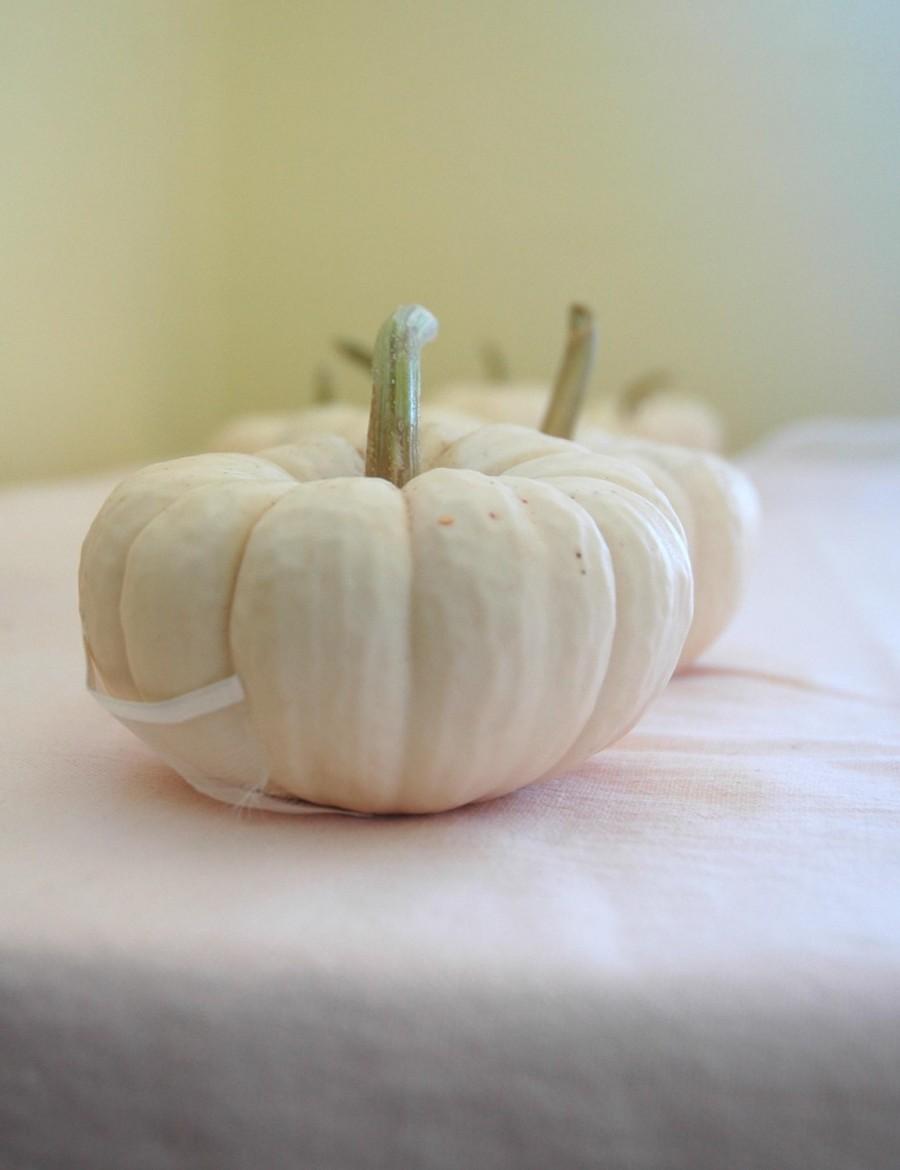 زفاف - 15 Mini White Pumpkins for Table Decor for late Summer or Fall Weddings