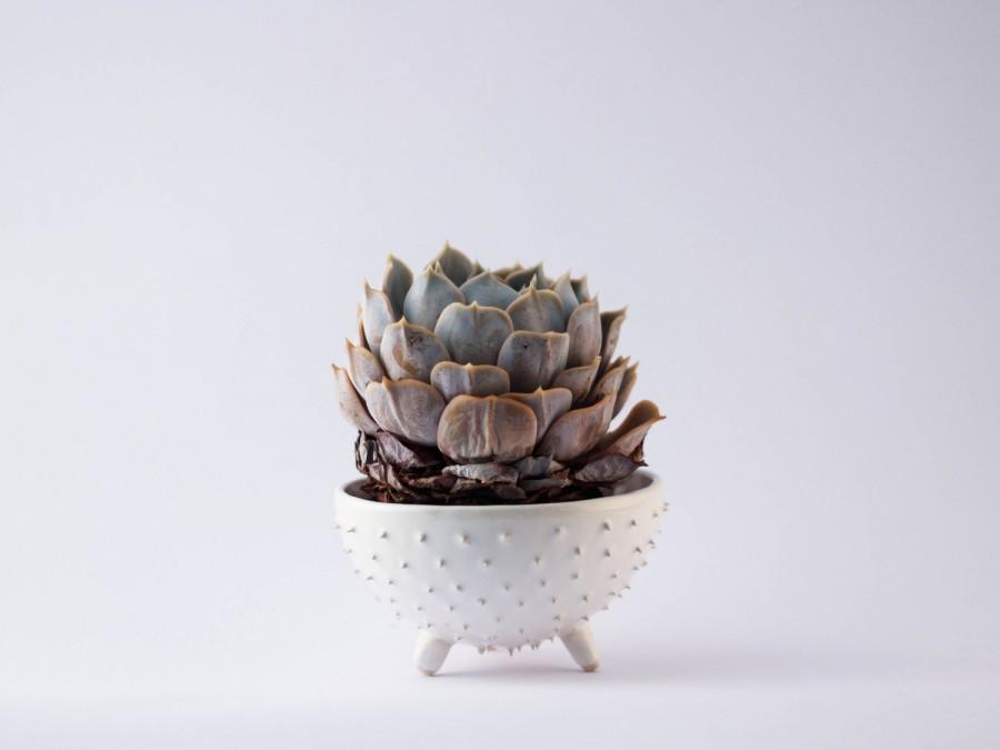 Wedding - Handmade spiky ceramic succulent planter/ white flower pot/ air planter/ 3 leeged planter