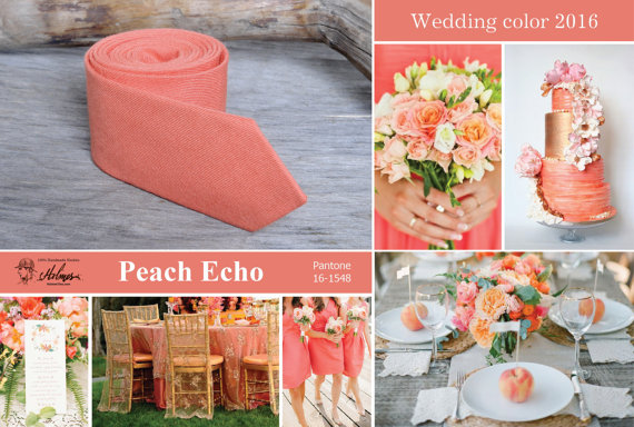 Wedding - Wedding Peach Echo Ties Men's skinny Peach tie Wedding 2016 Wedding color
