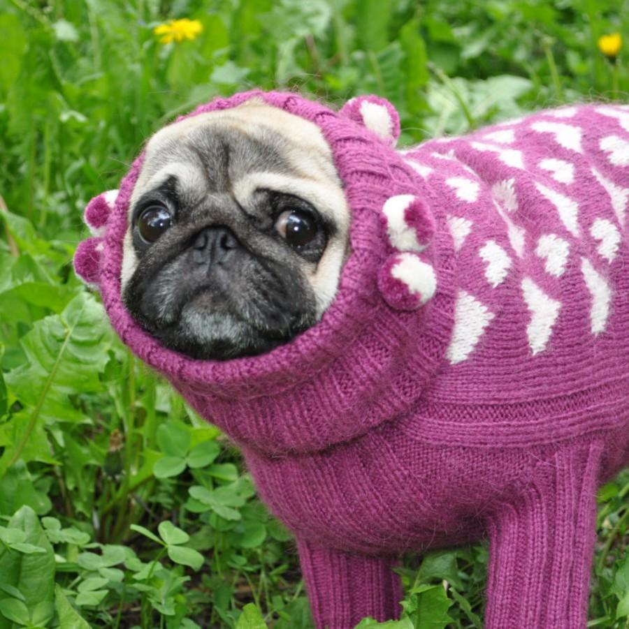 زفاف - Dog Sweater Knit Dog Sweater Sweater for Pug Clothing for dog Pug coat Pug sweater Dog hoodie French bulldog coat Sweater with hood Dogs hat