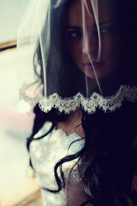 زفاف - tulle birdcage blusher bridal veil with alencon lace in ivory