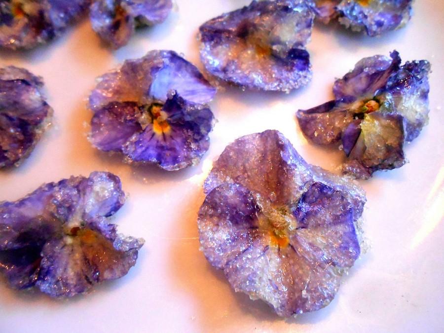 Mariage - Candied Flowers, Edible Violas, Cupcake Toppers, Weddings