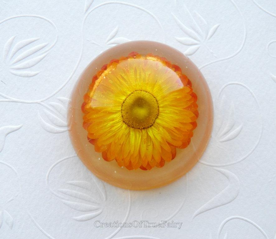 Mariage - Best friend gift for coworker Yellow Helipterum paperweight Baby shower gift for birthday favor Round nice real flower Ihappywhenyouhappy 37