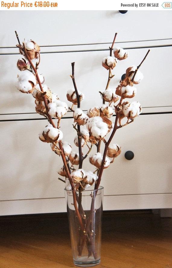 Hochzeit - ON SALE Organic dried Cotton stalk 