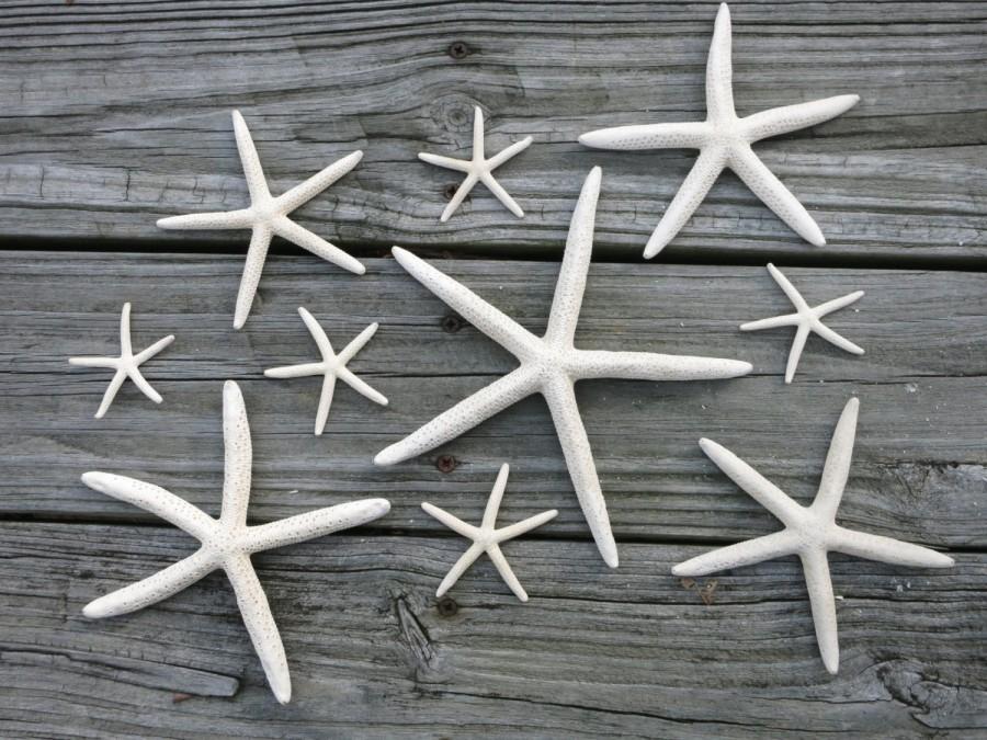 زفاف - Set of 10 Natural Starfish - Wedding Centerpiece & Decor, Beach House, Nursery, Home, Tropical, Hawaiian