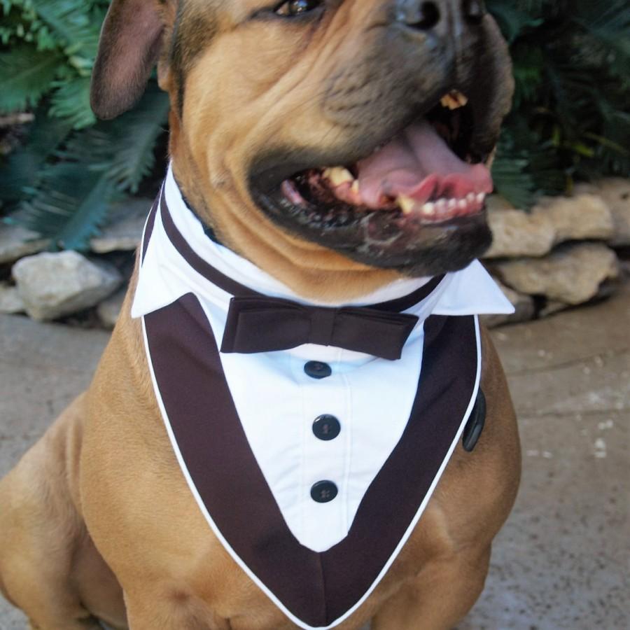 Hochzeit - Dog Tuxedo, Dog Wedding Attire, Pet Wedding Clothes, Tuxedo Dog Collar, Black and White Tuxedo, Boy Wedding Clothes