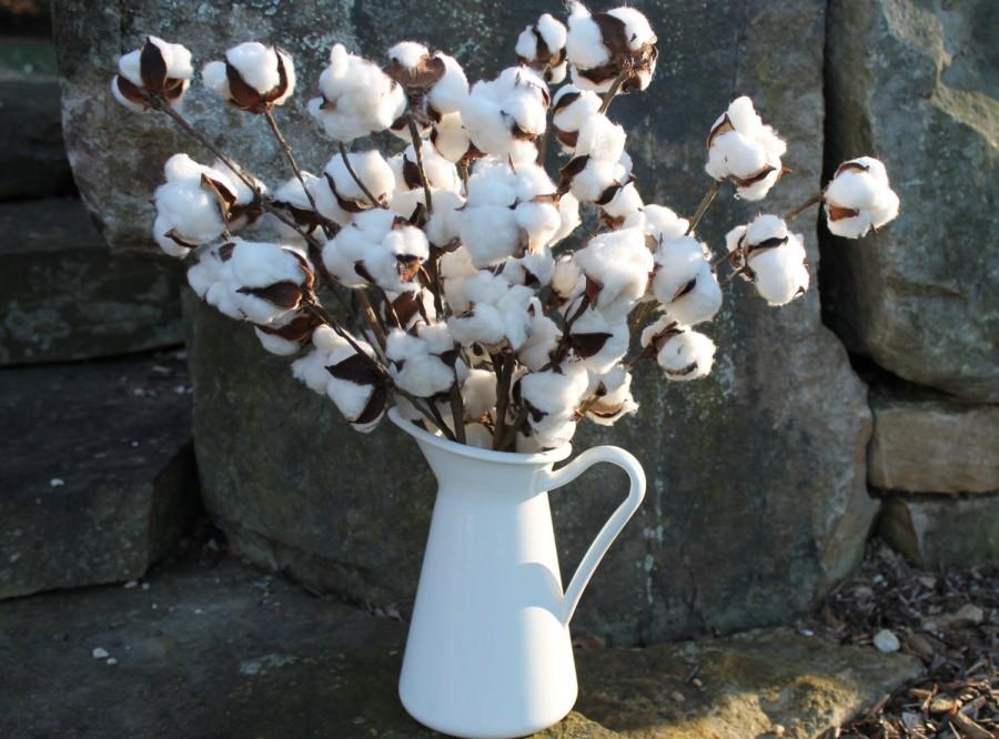 Hochzeit - Cotton Boll Stems, Set of 5-20" Cotton Stems, Cotton Branches, Natural Cotton Bolls, Rustic Wedding Decor, Farmhouse Decor, 2nd Anniversary