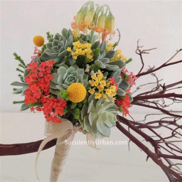 Mariage - Succulent wedding bouquets, Succulent bridal bouquet, Bridal bouquet