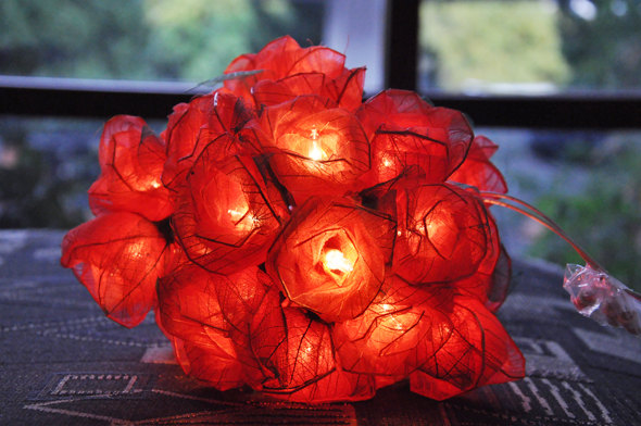 Свадьба - Sweet Sorbet Rose with green leaves String lights for Patio,Wedding,Party and Decoration (35 bulbs)