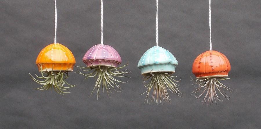 Hochzeit - Small Jellyfish, Hanging Planter, Airplant, Air PlanterWhimsical Gift
