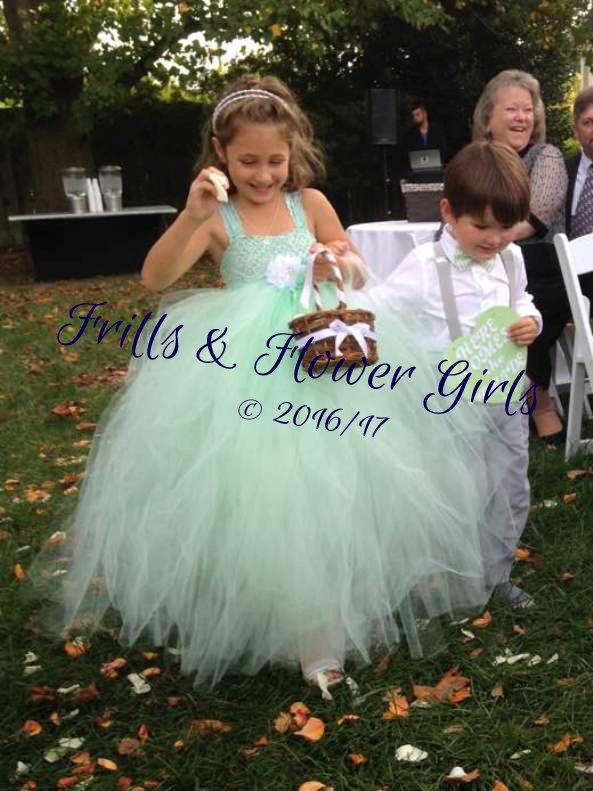 Hochzeit - Mint Green Flower Girl Tutu Dress Mint Green Lace Flower Girl Dress LINED skirt  Dress Sizes 18 Mo up to Girls Size 10