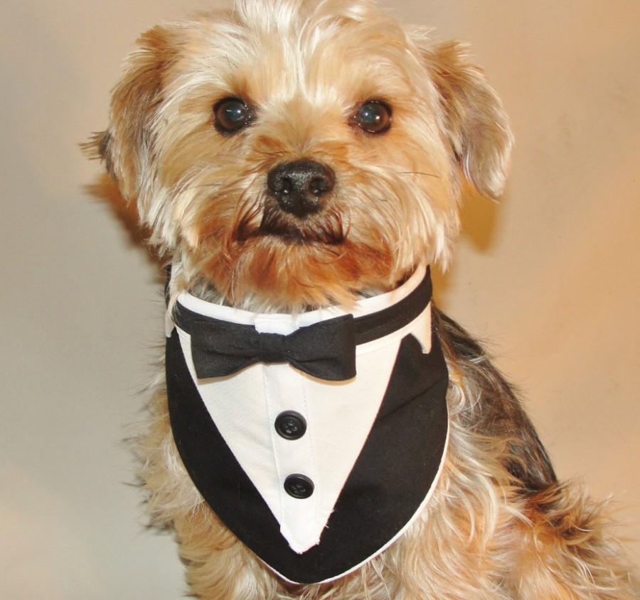 Hochzeit - Dog Tuxedo, Dog Wedding Attire, Black and White Wedding Tuxedo, Formal Wedding Collar for and size Pets