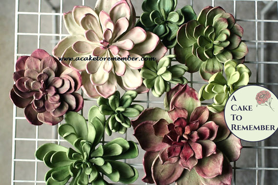 Свадьба - Wedding cake topper--3 large wired gumpaste succulents, 3" to 5" wide. Rustic flowers for cake decorating, DIY wedding cakes
