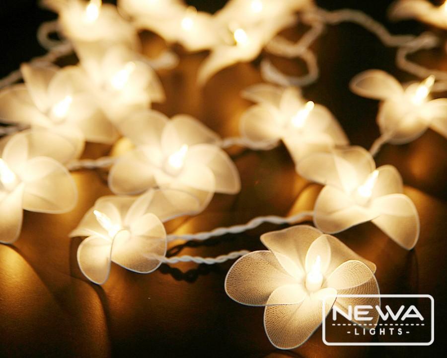 20 White Frangipani Flower Lights String Lights Fairy Lights Christmas Lights Wedding Party Lantern Lights Bedroom Wall Home Nursery Decor 2633008 Weddbook