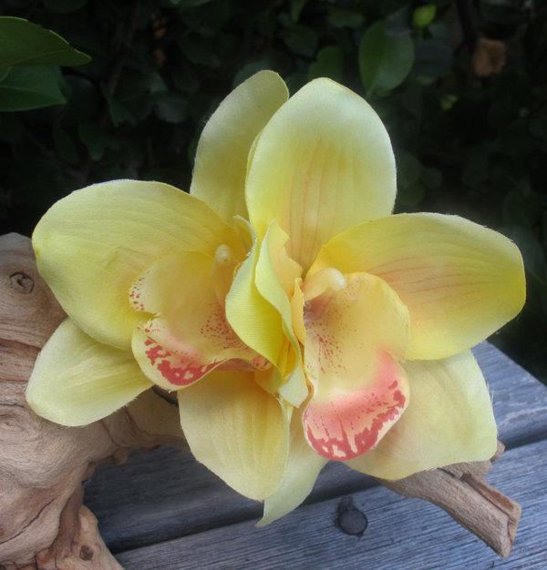 Mariage - Hawaiian Yellow  Two Orchids hair flower clip - weddings-