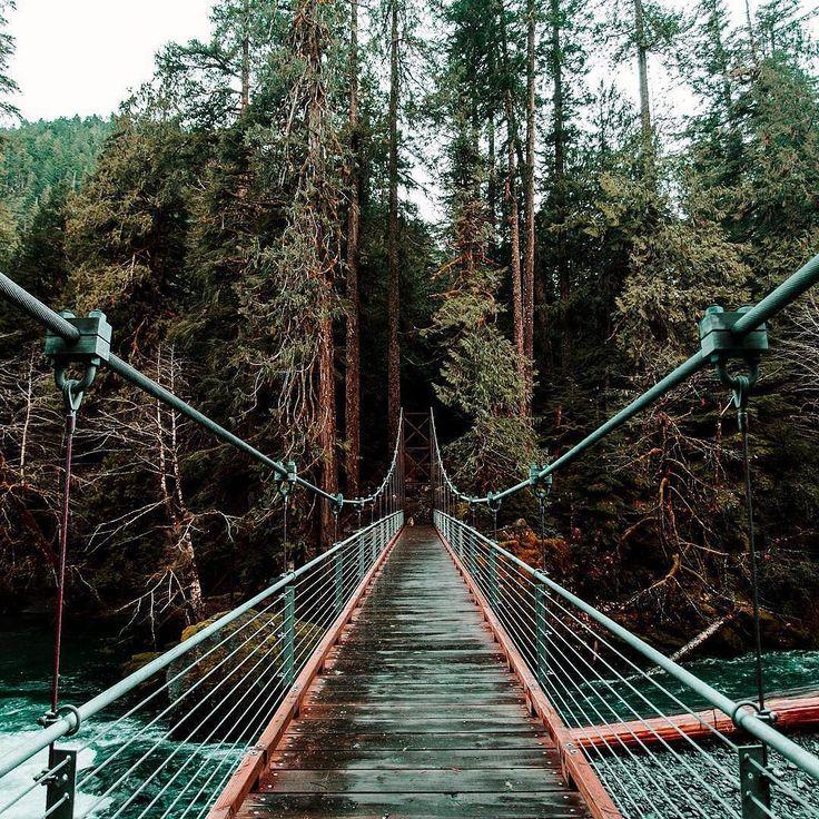 زفاف - Earth ✕ Travel ✕ Nature On Instagram: “Staircase Trail At Lake Cushman, Washingtoncc: @ryanlongnecker”