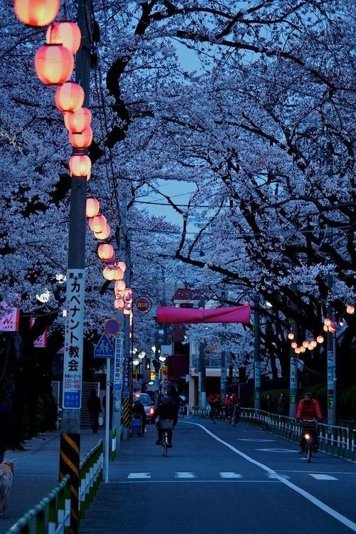 زفاف - Tokyo Most Stunning Pictures
