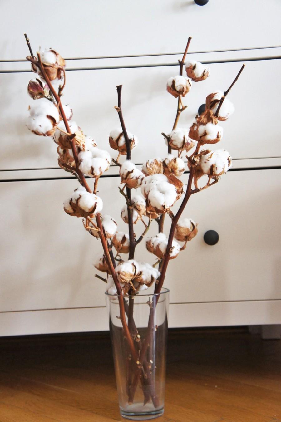 Свадьба - Organic dried cotton 