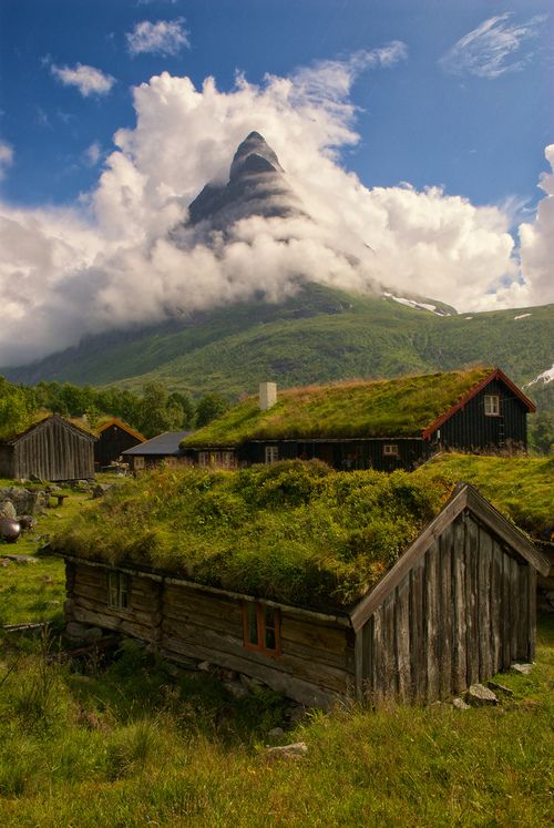 زفاف - Norway Beauty