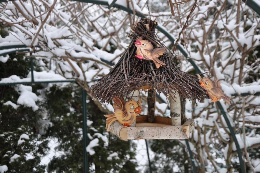 Bird Feeder Rustic Bird Feeder Birdhouse Outdoor Birdhouse