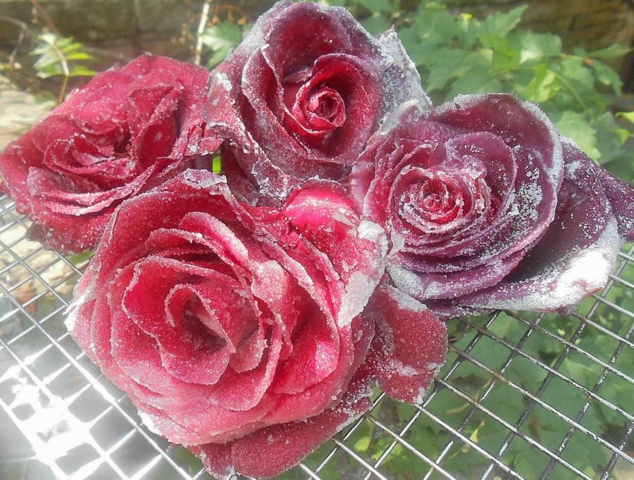 زفاف - Sugar Coated Roses, Crystallized Roses, Edible Flowers, Weddings, Anniversariers, Cupcake Toppers, Cake Decorations