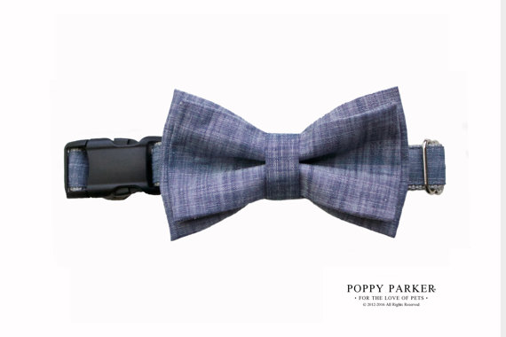 زفاف - Blue Chambray Layered Dog Bow Tie