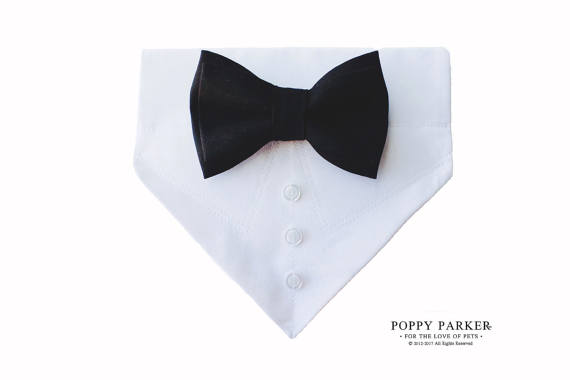 Wedding - Dog Tuxedo Bandana With Matching Bow Tie and Collar - Choose Your Color - 45 Colors Available - Black Tuxedo Dog