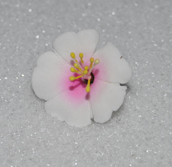 Hochzeit - 10 Gumpaste Cherry Blossoms White or White w/ Pink (Flower Blossoms Sugar  Fondant Cake Cupcake Topper)