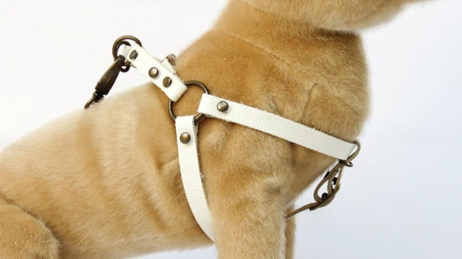Wedding - Dog Harness Step in Leather Harness adjustable harness Teacup breeds puppies chihuahua Strap Dog Harness vest dog harness  buckle dog collar