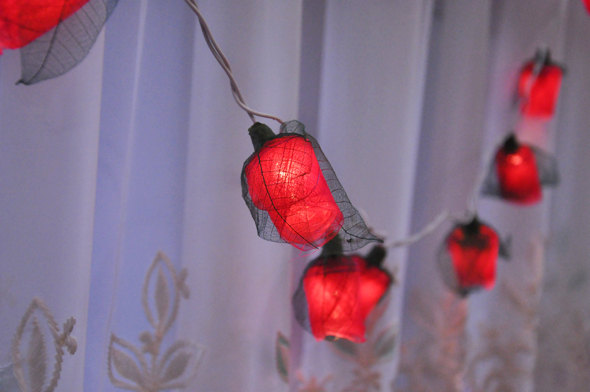 زفاف - 35 Romance Red Rose String lights for Patio,Wedding,Party and Decoration fairy lights