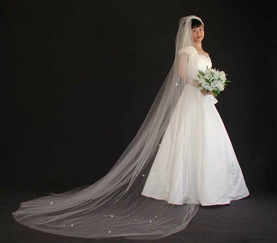 زفاف - Scattered Swarovski Crystal Rhinestones Wedding Veil - cathedral length 108" long with plain edge