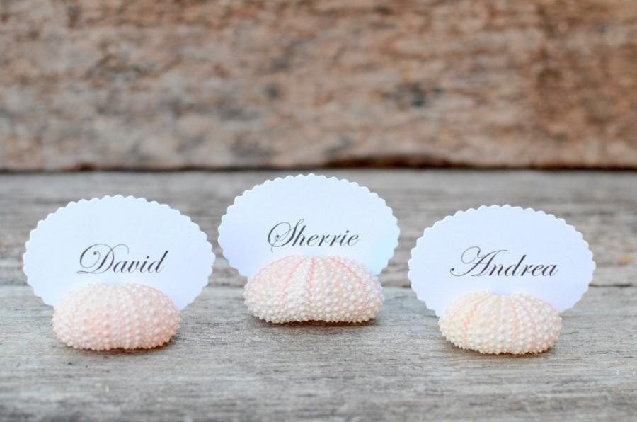 Hochzeit - 50 Sea Urchin Shell Place Card Holders for Beach Wedding - Natural Pink - Reception Table Decor - Guest Escort Favor