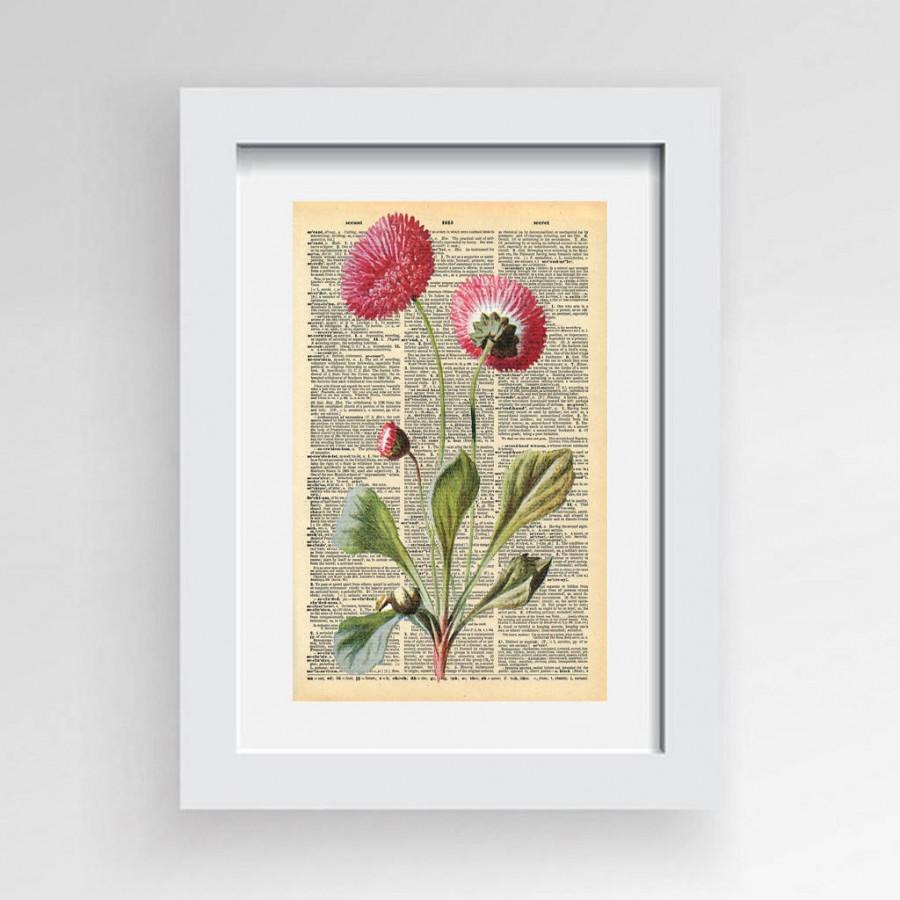 زفاف - Pink Daisy Print,Printable Art,Daisy Flower, Daisy Print, Vintage Art Print, Flower Print, Floral Art, Minimalist Print, Vintage Botanical,