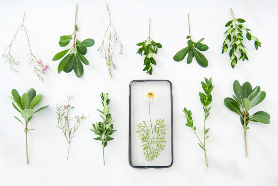 زفاف - Handcrafted Flower Phone Case - Pressed Real Flowers - Samsung Galaxy S6 Edge ready to ship - Contact Us for iPhone 6 6s 6sPlus 5 5s 5c SE