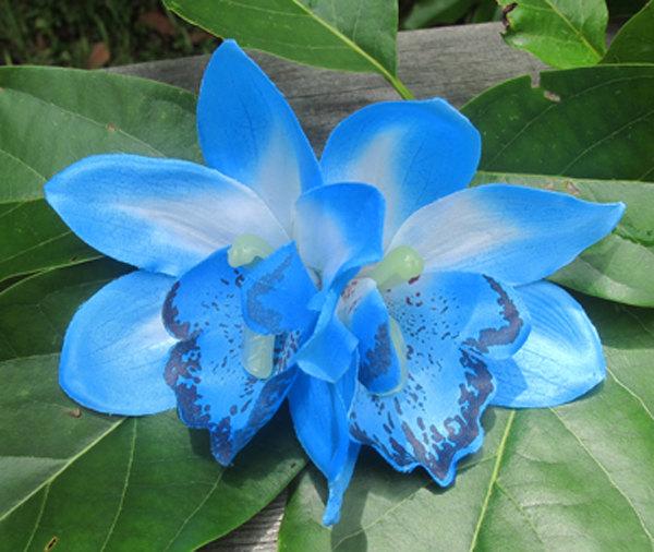 Wedding - Hawaiian Turquoise Two Orchids hair flower clip - weddings-