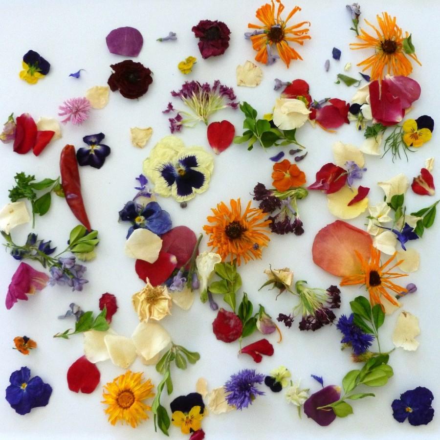 Mariage - Dry Flowers, Wedding Confetti, Craft Supply,  Dry Flower Petals, Flower Girl, Violas, Aisle, Real Flowers, 1 Box of Dry Flower Confetti