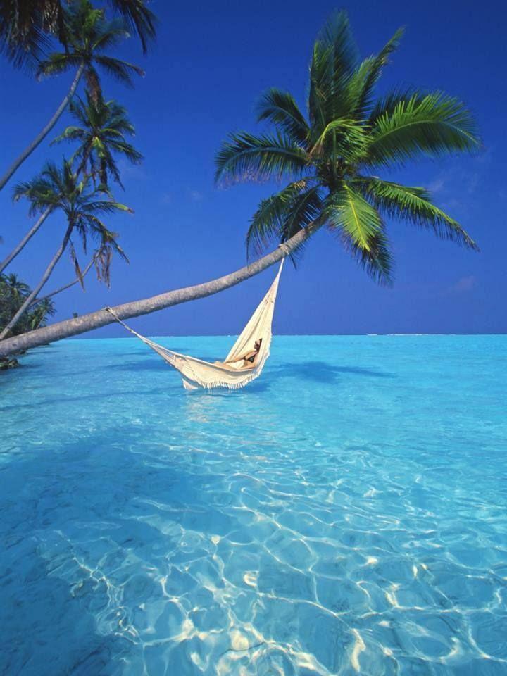Свадьба - 35 Spectacular Shots Of Bora Bora, Tahiti .. You Won’t Believe Are...