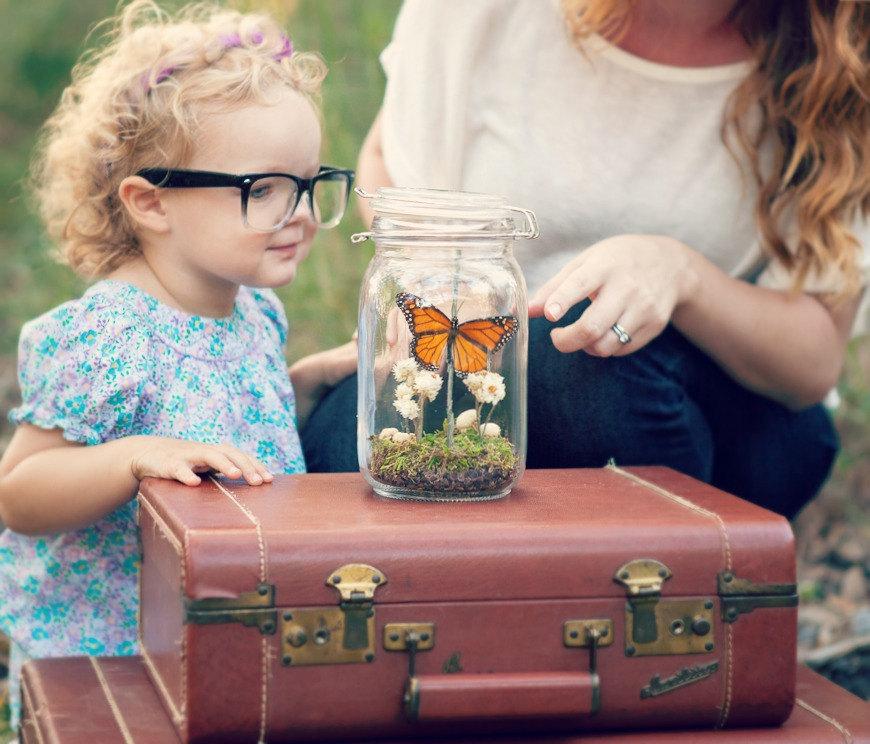 زفاف - Butterfly Terrarium Kit, Teacher Gift, Educational, Kits and Tutorials, Monarch Butterfly, Gift Ideas for Her, Science, Eco-Friendly, DIYer